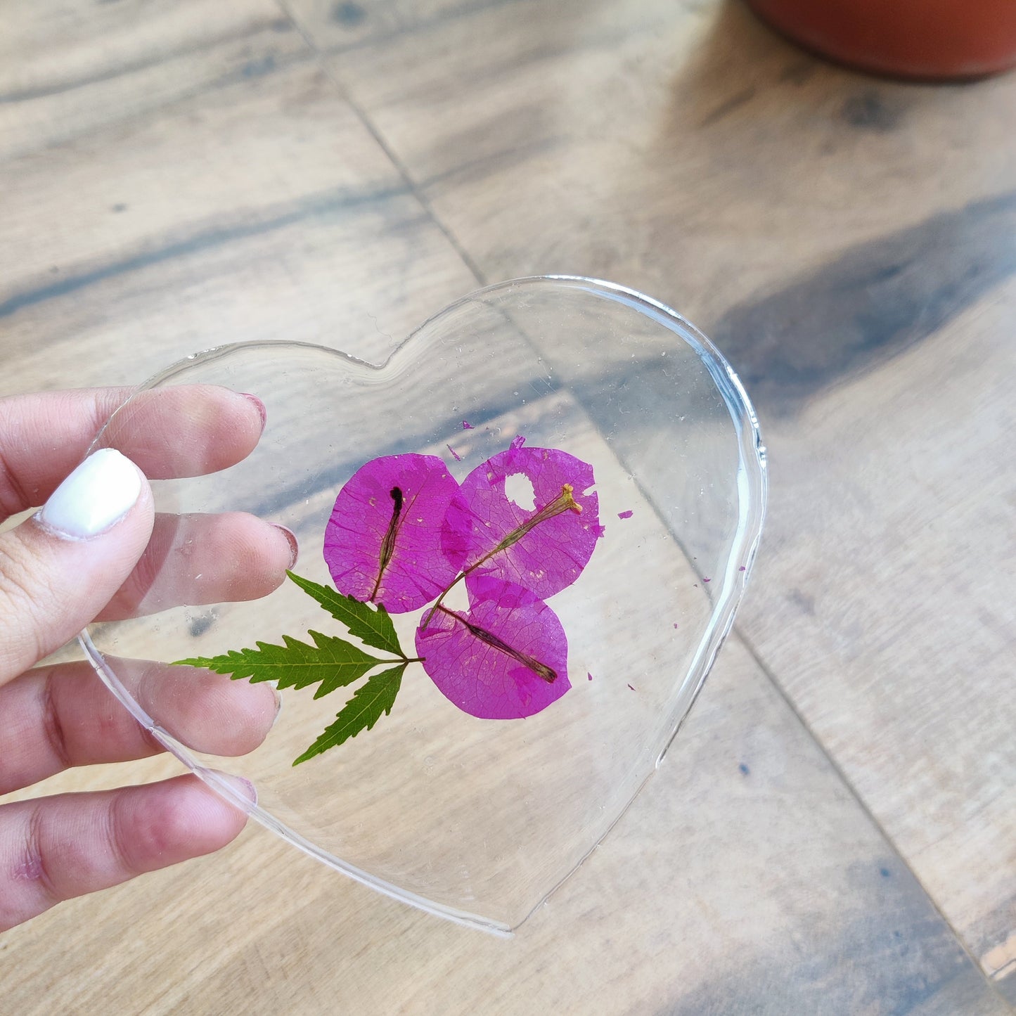 Botanicals Coaster set of 3