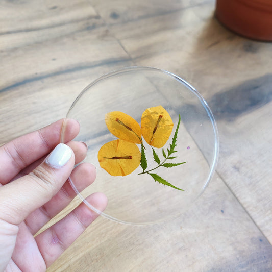 Botanicals Coaster set of 3