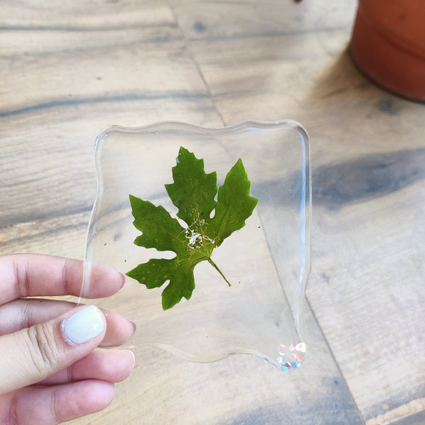 COASTERS